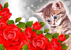 KITTY WITH RED ROSES