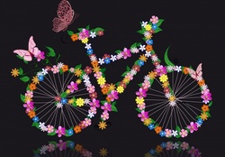 SUMMER BICYCLE