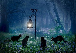 Cats around a lantern