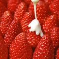 Strawberries and Cream