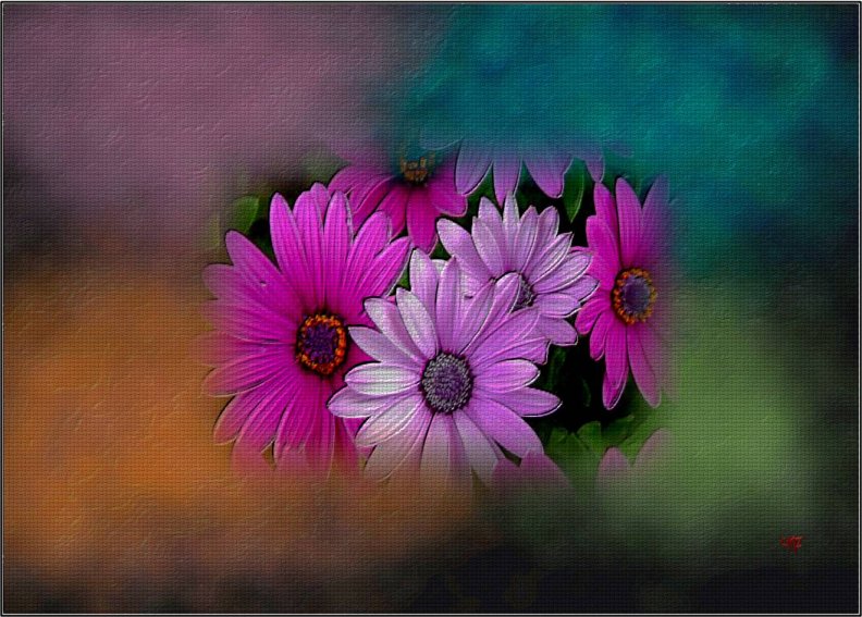 floresampcolores.jpg