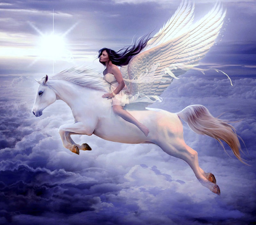 ~Flying Horse~