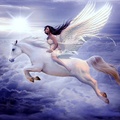 ~Flying Horse~