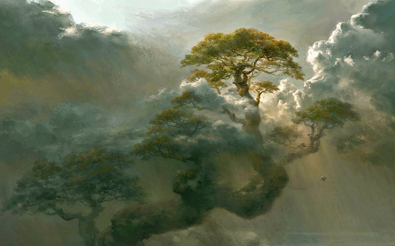 Tree Among the Clouds