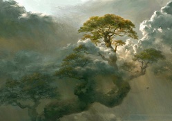 Tree Among the Clouds