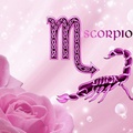 Pink Scorpio ~ For My BFF Luna