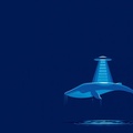 UFO Whale