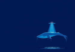 UFO Whale