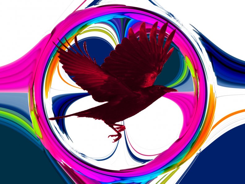 red_crow_on_coloured_background_2014.jpg