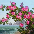 Pink flowers on the beach