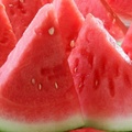 Slices Water Melon