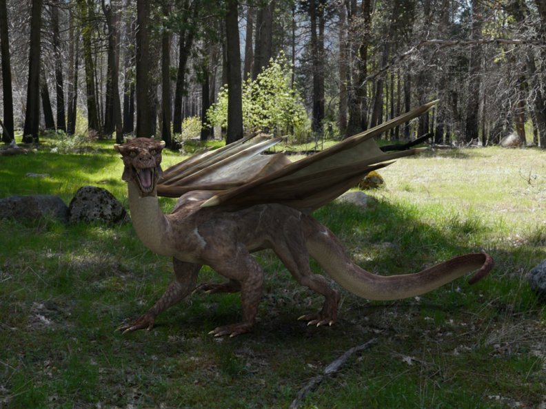 Dragon in wood I