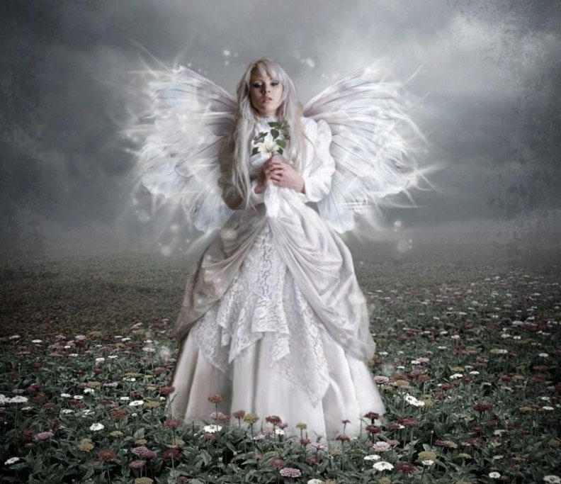 ANGEL IN WHITE