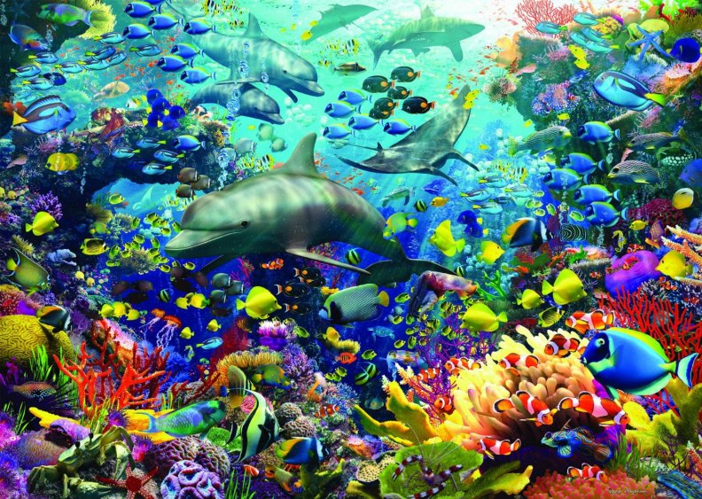 Augmented Reality Underwater