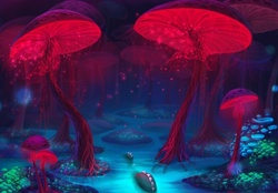 Magical Forest Mushrooms