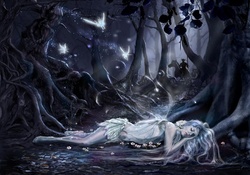 Sleeping Fairy And Dark Knight