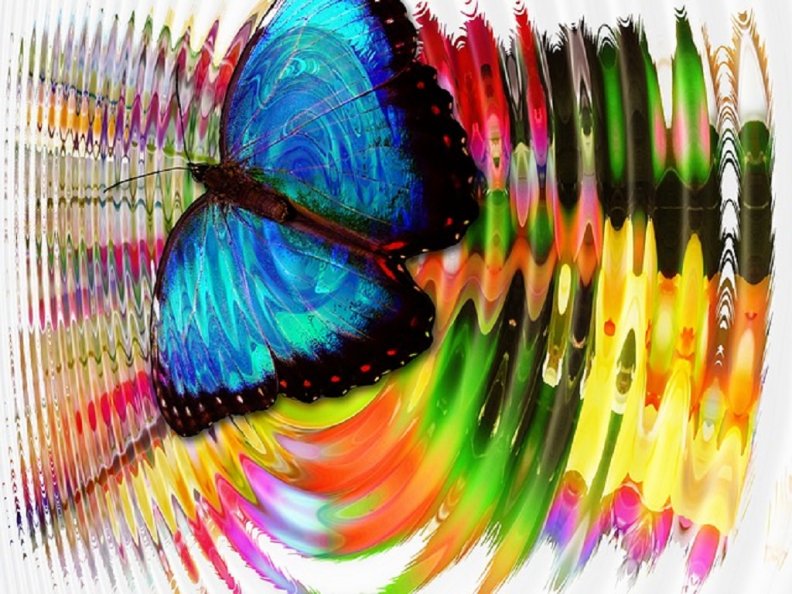 butterfly_on_wave.jpg
