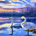 SWANS AT THE SUNSET