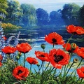 Lake with Poppies