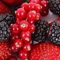 Berries_Strawberries_Raspberries