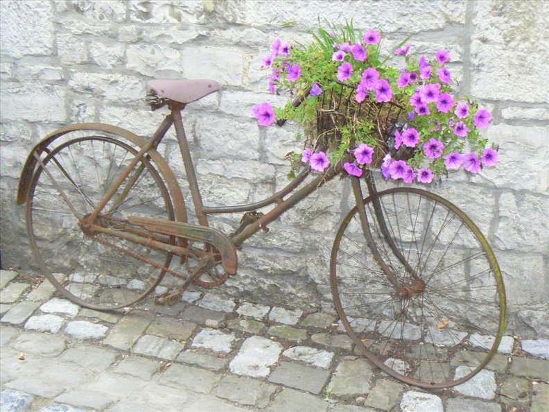 the_bicycle.jpg