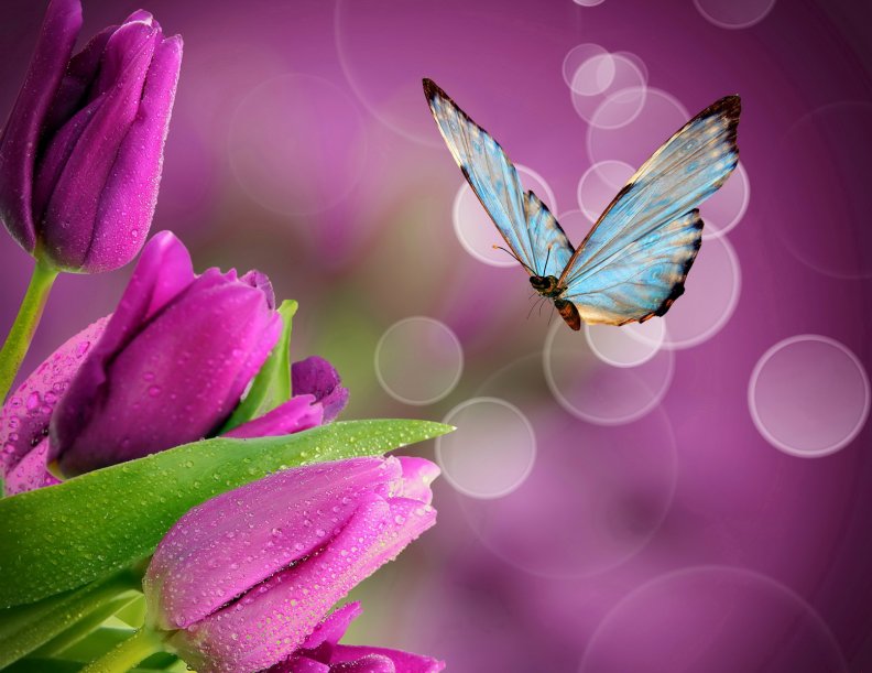 flowers_and_butterfly.jpg