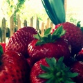 strawberries and sunny day