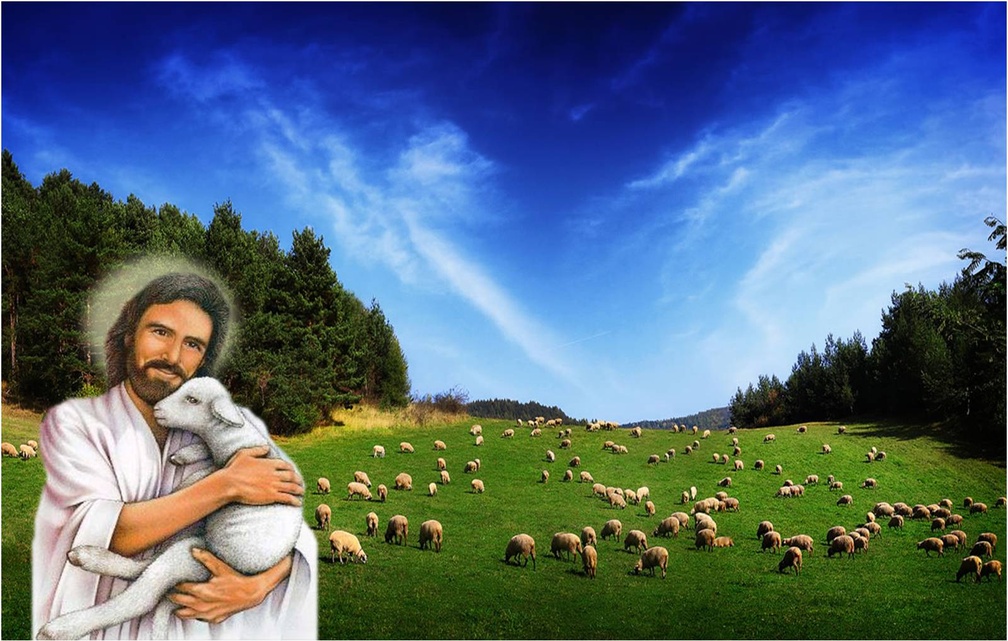 Good shepherd