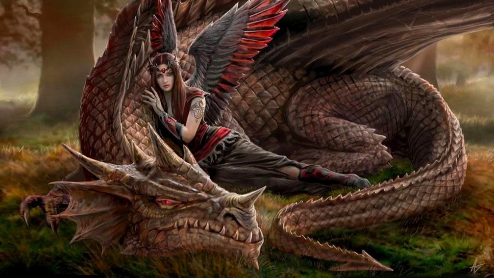 Dragon fantasy