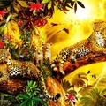 Leopard Family