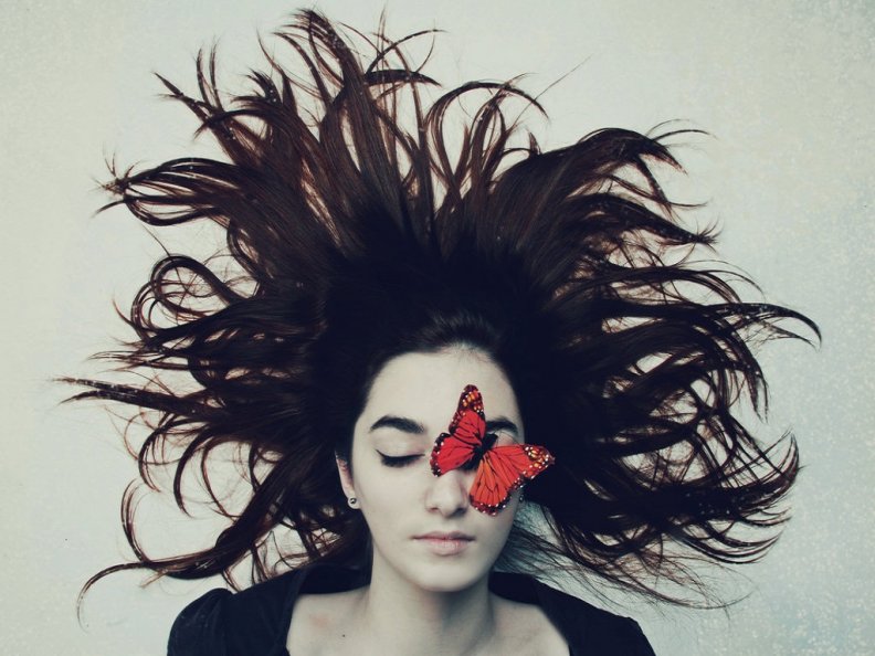 red_butterfly.jpg