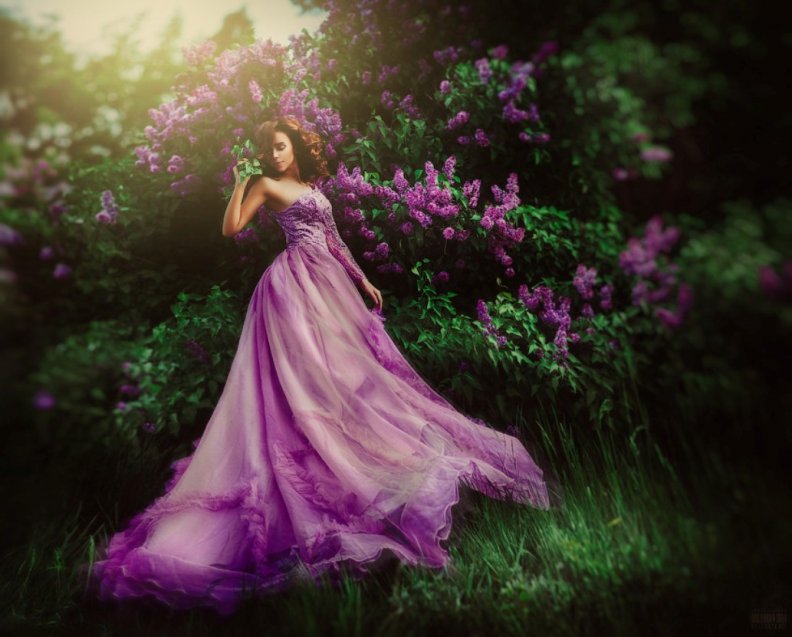 purple_beauty.jpg