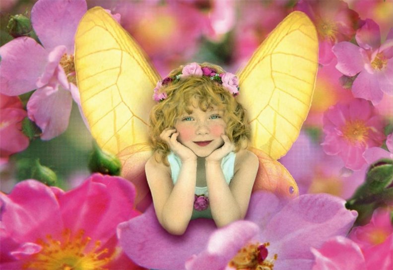 little_flower_fairy.jpg
