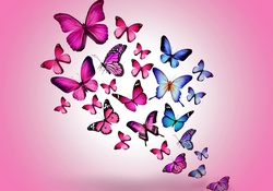 Butterflies in pink