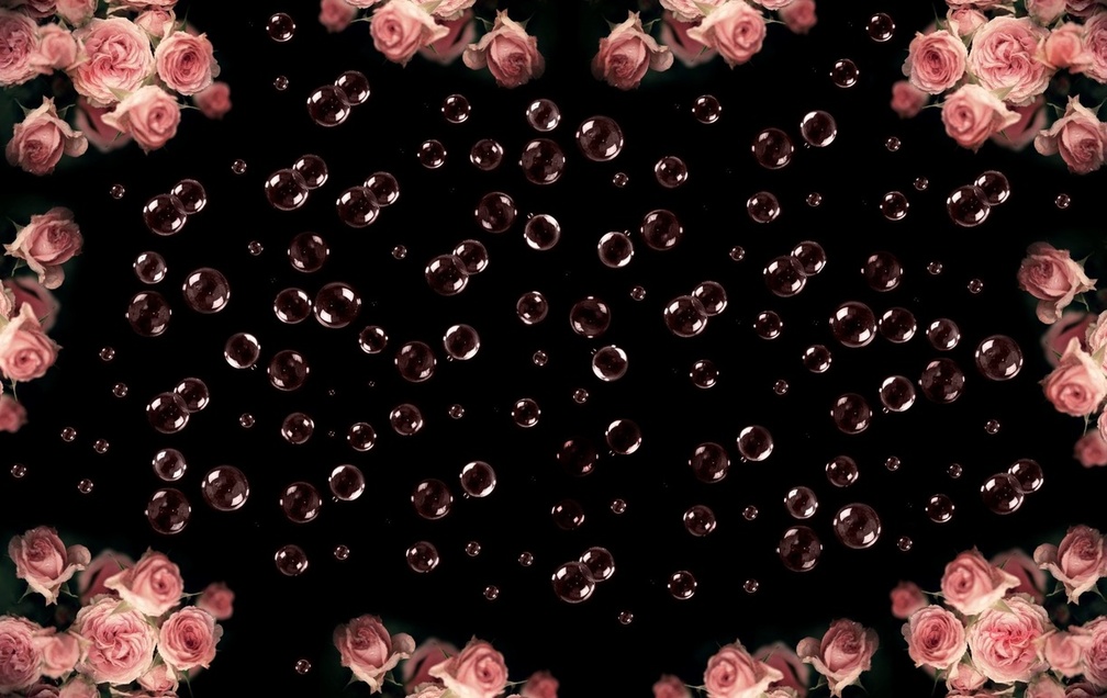 Roses and bubbles