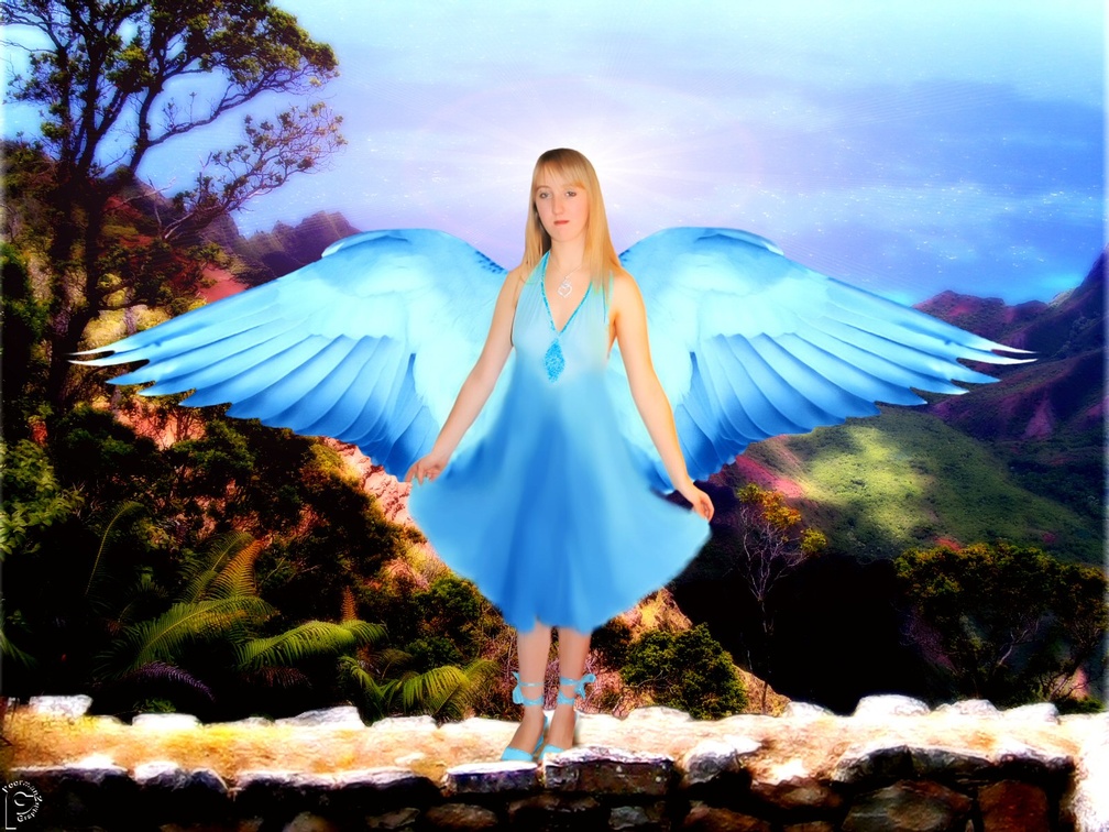 a fantasy angel