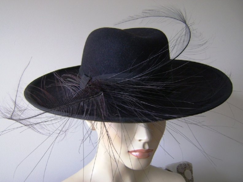 Black Hat with Feathers