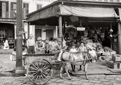 vintage french market in black and white