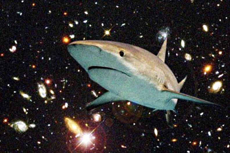 shark_in_space.jpg