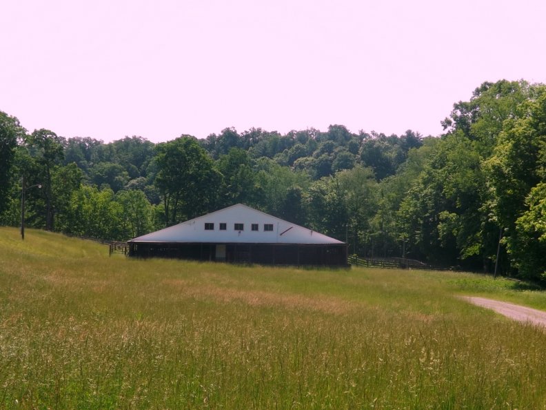 The cattle Barn