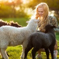 Blonde with Sheep