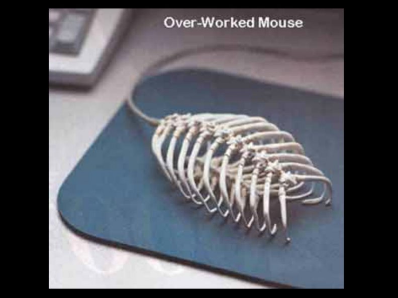over_worked_mouse.jpg