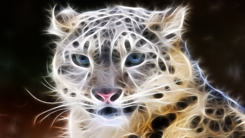 snow_leopard.jpg
