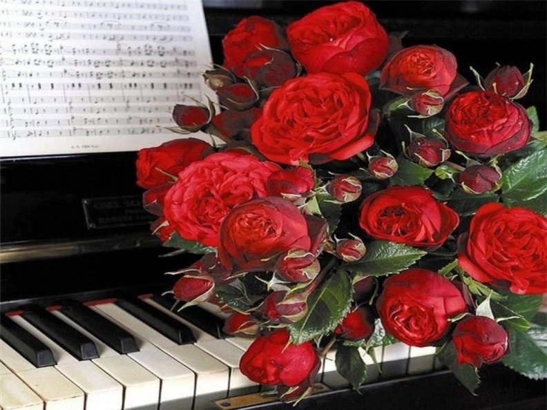 bouquet_of_red_roses_and_music.jpg