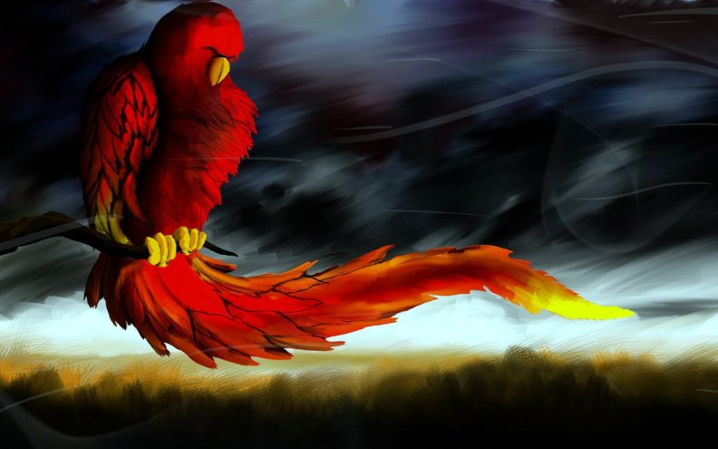flaming_parrot_artwork.jpg