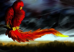 Flaming Parrot Artwork