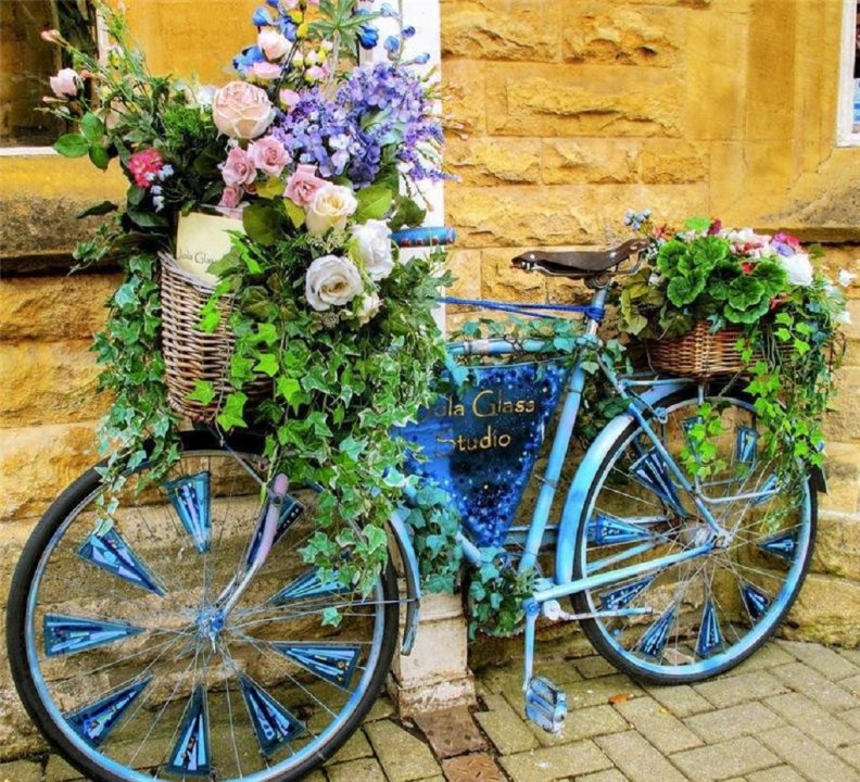 flowered_bicycle.jpg