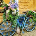 flowered bicycle