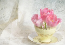 A Cup Of Tulips