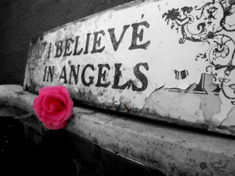 i_believe_in_angels.jpg